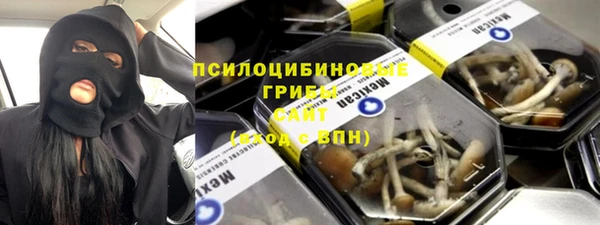 mix Инта