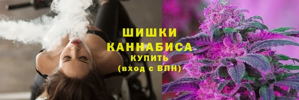 mix Инта