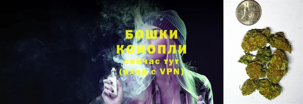 mix Инта