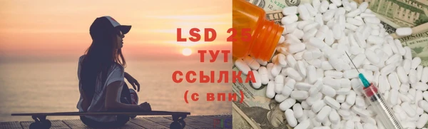 mix Инта