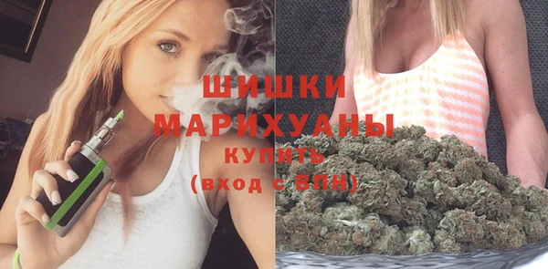 mix Инта