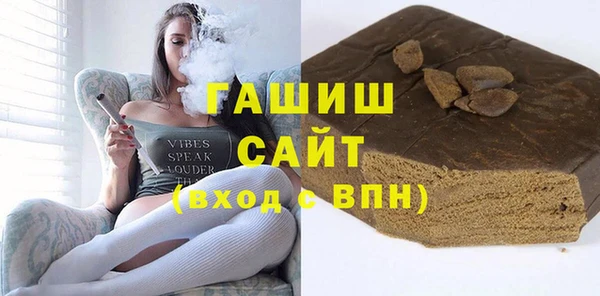 mix Инта