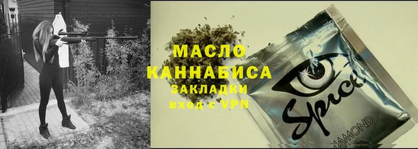mix Инта
